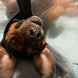 Meet your Posher, Christy